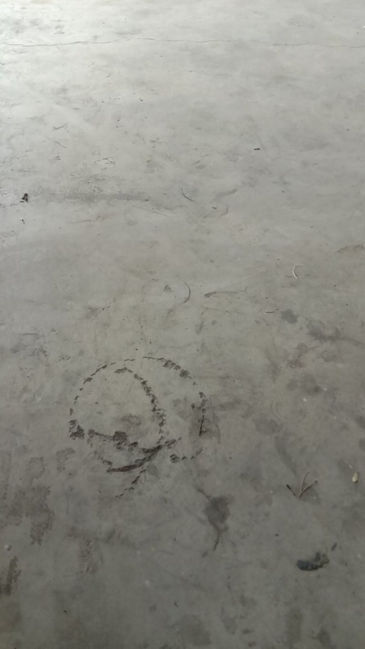 Rinso Matic Profesional 1.8 Ltr ( Liquid )