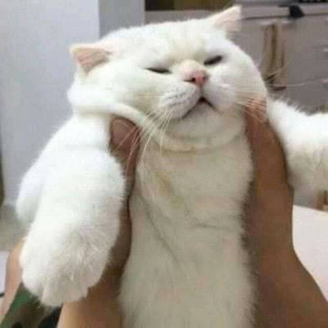 a*****9