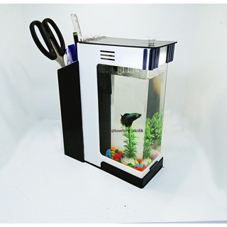 Aquarium Display, Aquarium acrylic, Aquarium unik, soliter ...