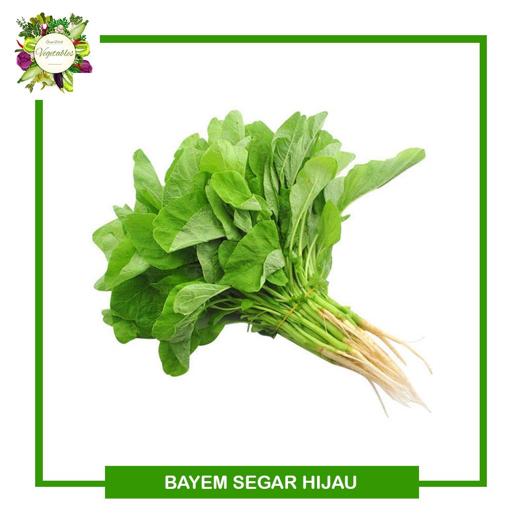 Sayur Bayam Hijau Segar Gerai Sayur Segar Depok Shopee Indonesia