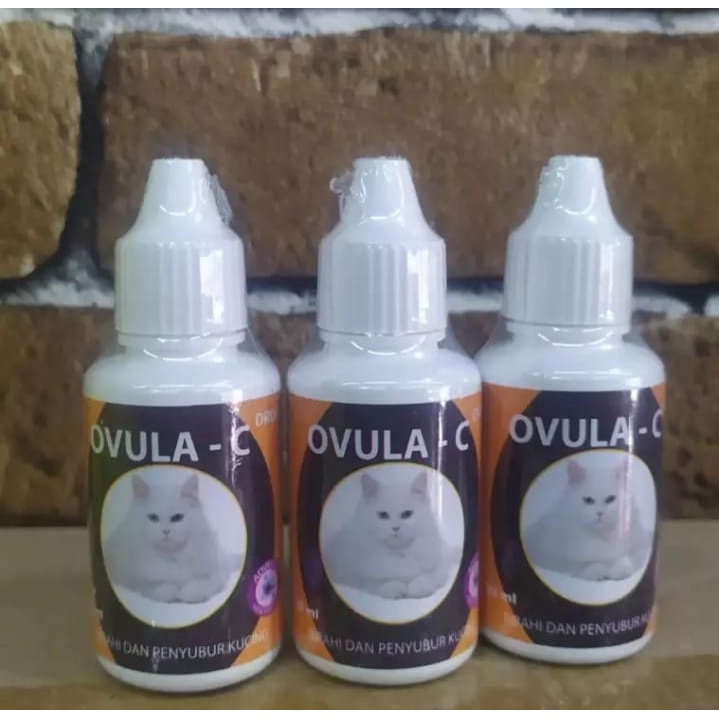 Ovula C Drop 30ml - Ovula Cat Obat Birahi Kucing Penyubur Kandungan
