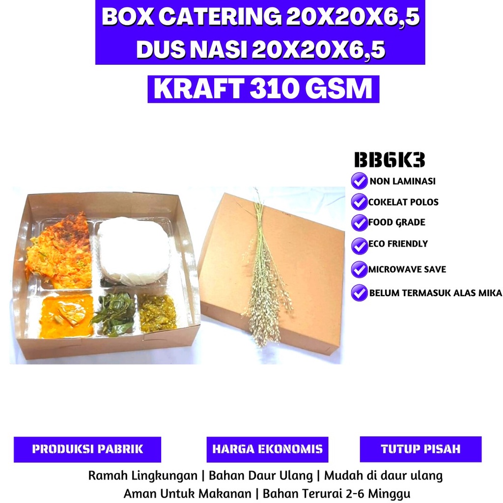 Box Catering Dus Catering Dus 20x20X6.5 (BB6K3-20X20X6.5 Cm)