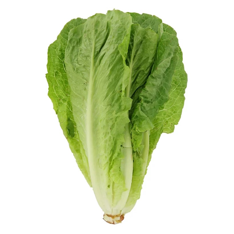 

Lettuce Selada Salad