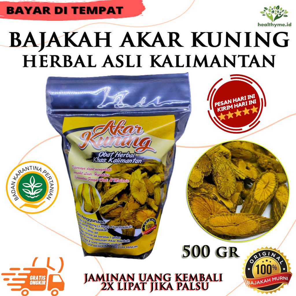 Akar Kuning Asli Kalimantan / Kayu Akar Bajakah Kuning / Kayu Bajakah Asli Kalimantan - 500 GR