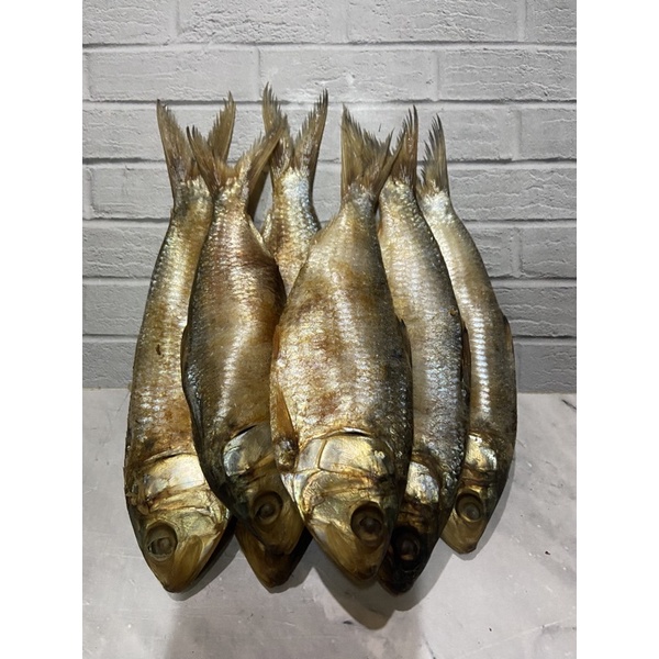 

Ikan Asin Belo 500gram