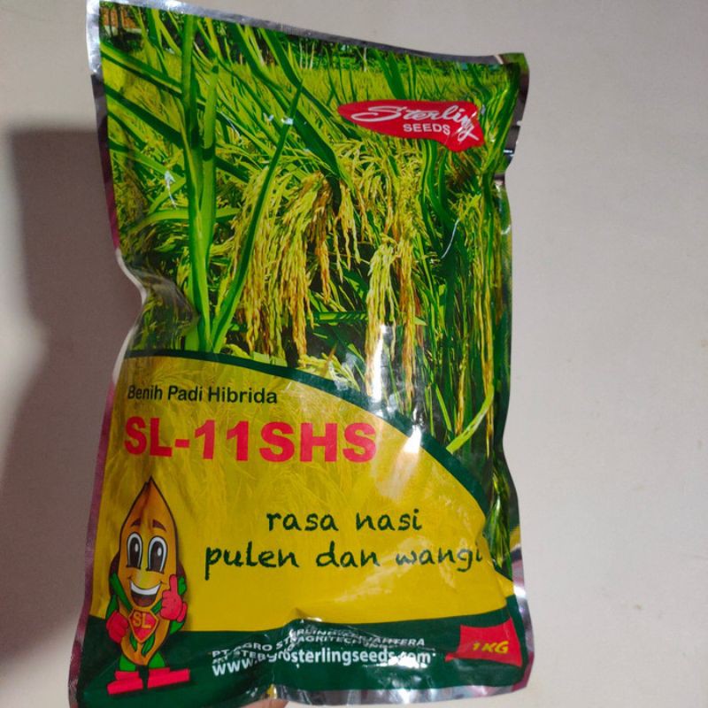 Benih Padi Hibrida SL-11SHS