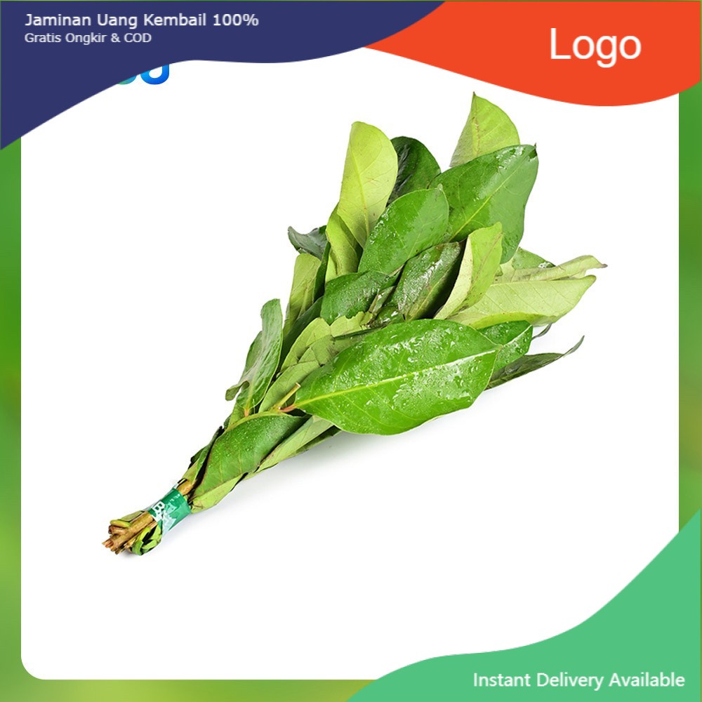 

Daun Salam 50 g