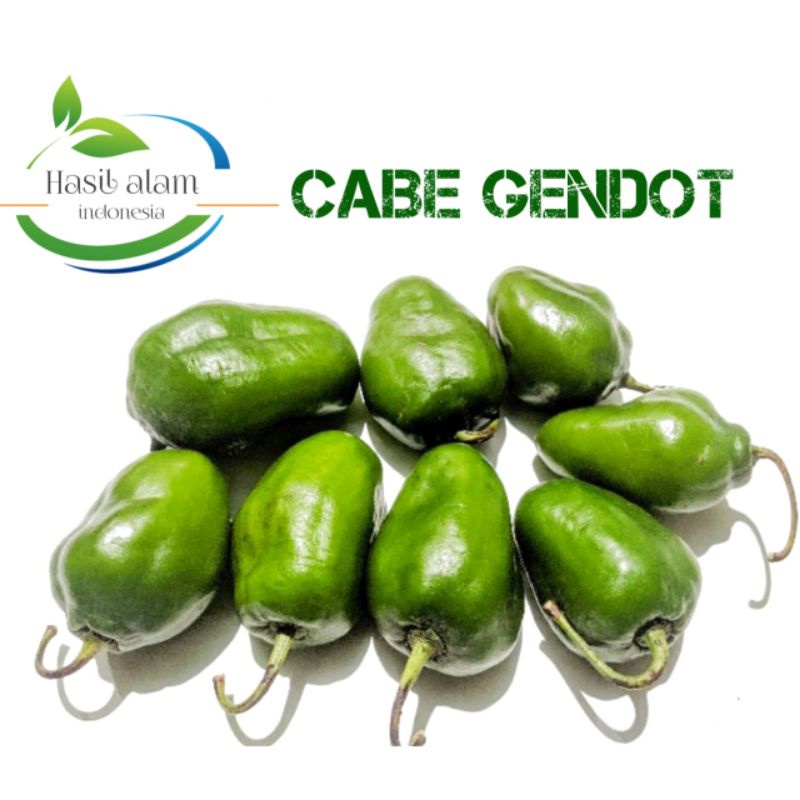 

CABE GENDOT/CABAI GENDOL KUALITAS SUPER!!READY STOCK SIAP KIRIM!!! (500gr)