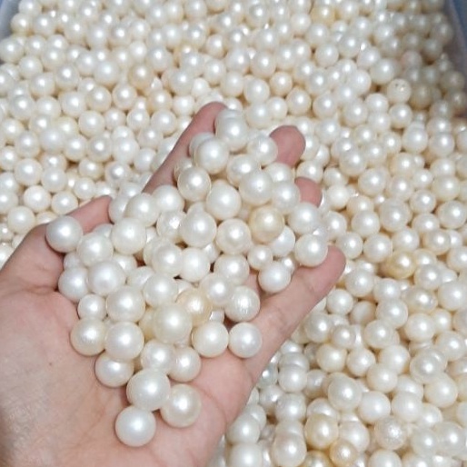 Lulu Pearl Mutiara Lombok - Mutiara Air Laut Lombok Bentuk Bulat | Mutiara Lombok Murah | Mutiara Lo