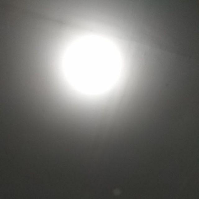 Gembok Putih 50 Mm Leher Panjang Hpp Murah