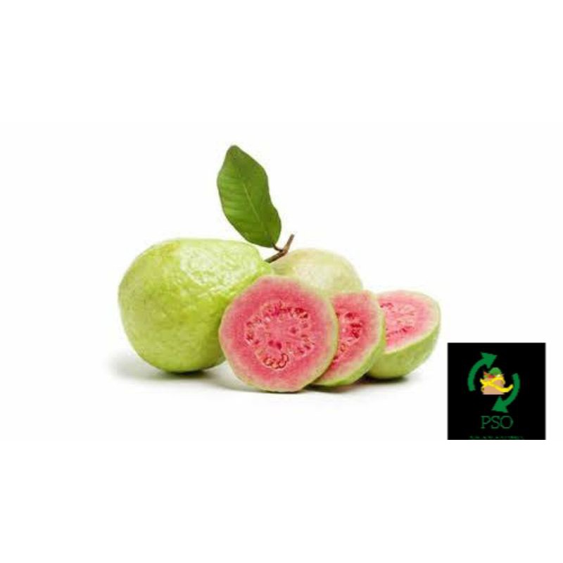 

JAMBU BIJI/500GR