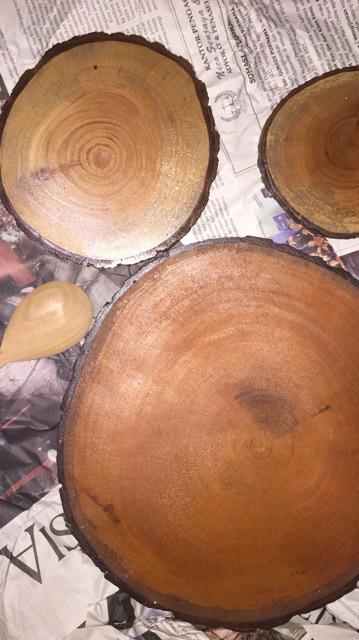 Natural Slice Wood - Potongan Kayu Log