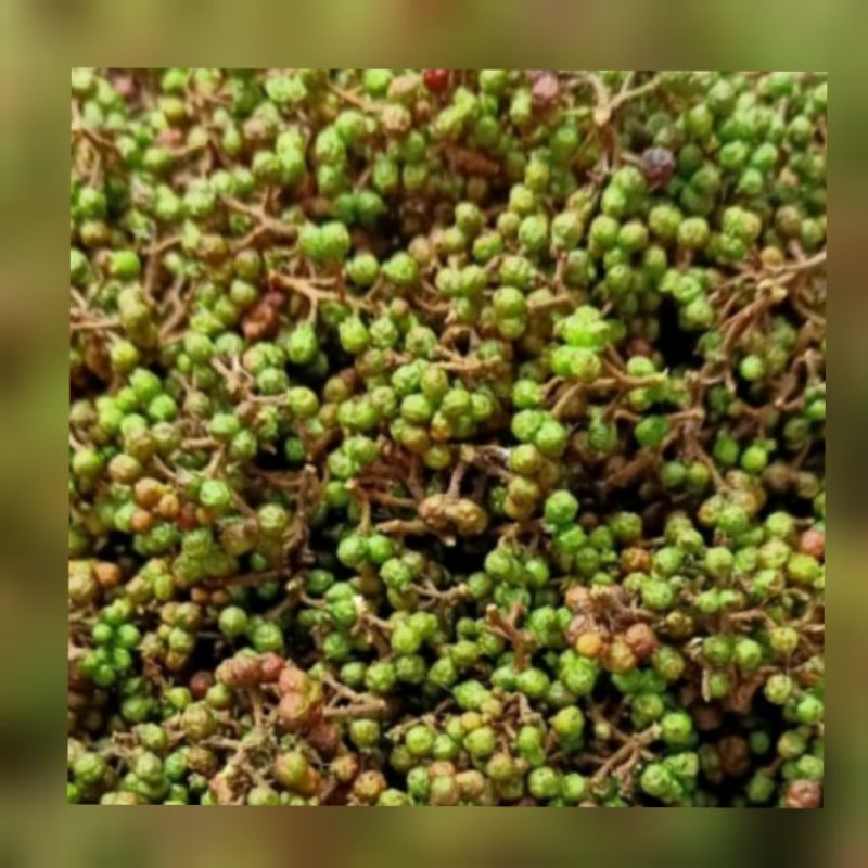 

Andaliman khas medan, penambah rasa 50gr