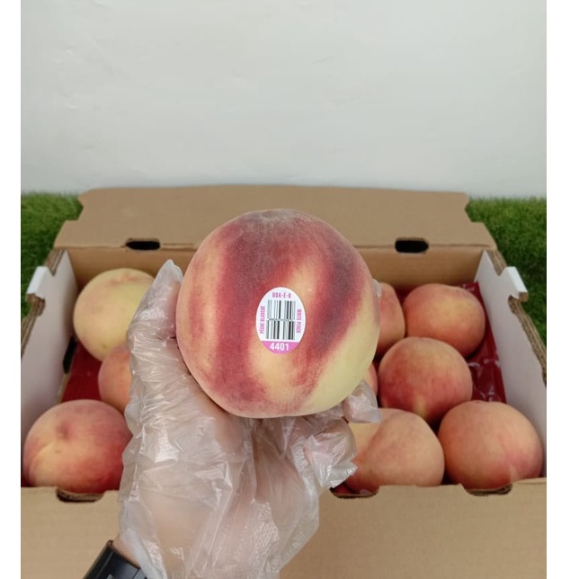 

Pech | Buah Persik USA Size" 13/14 (1 Box) 4Kg