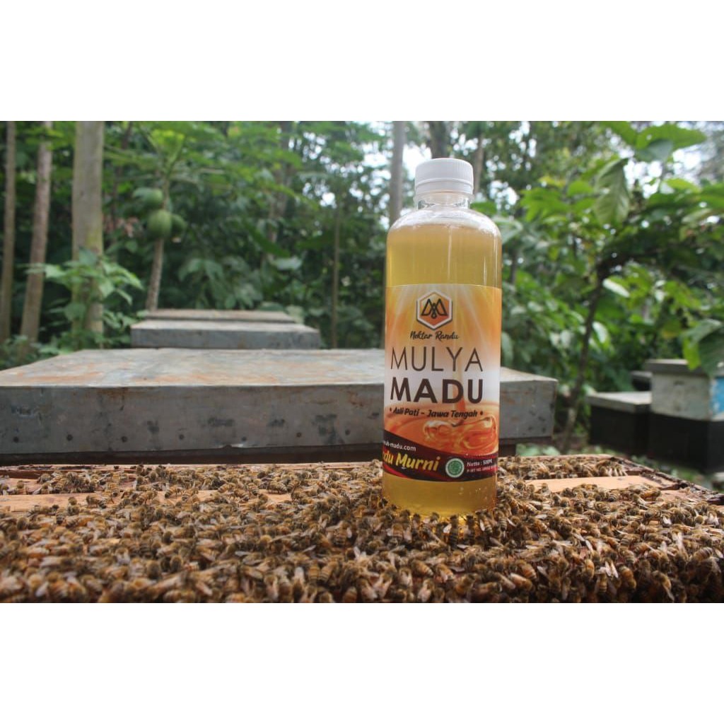 

Madu Murni Nektar Randu Mulya Madu dari Pati Jawa Tengah dengan beragam manfaat Size 500 ml