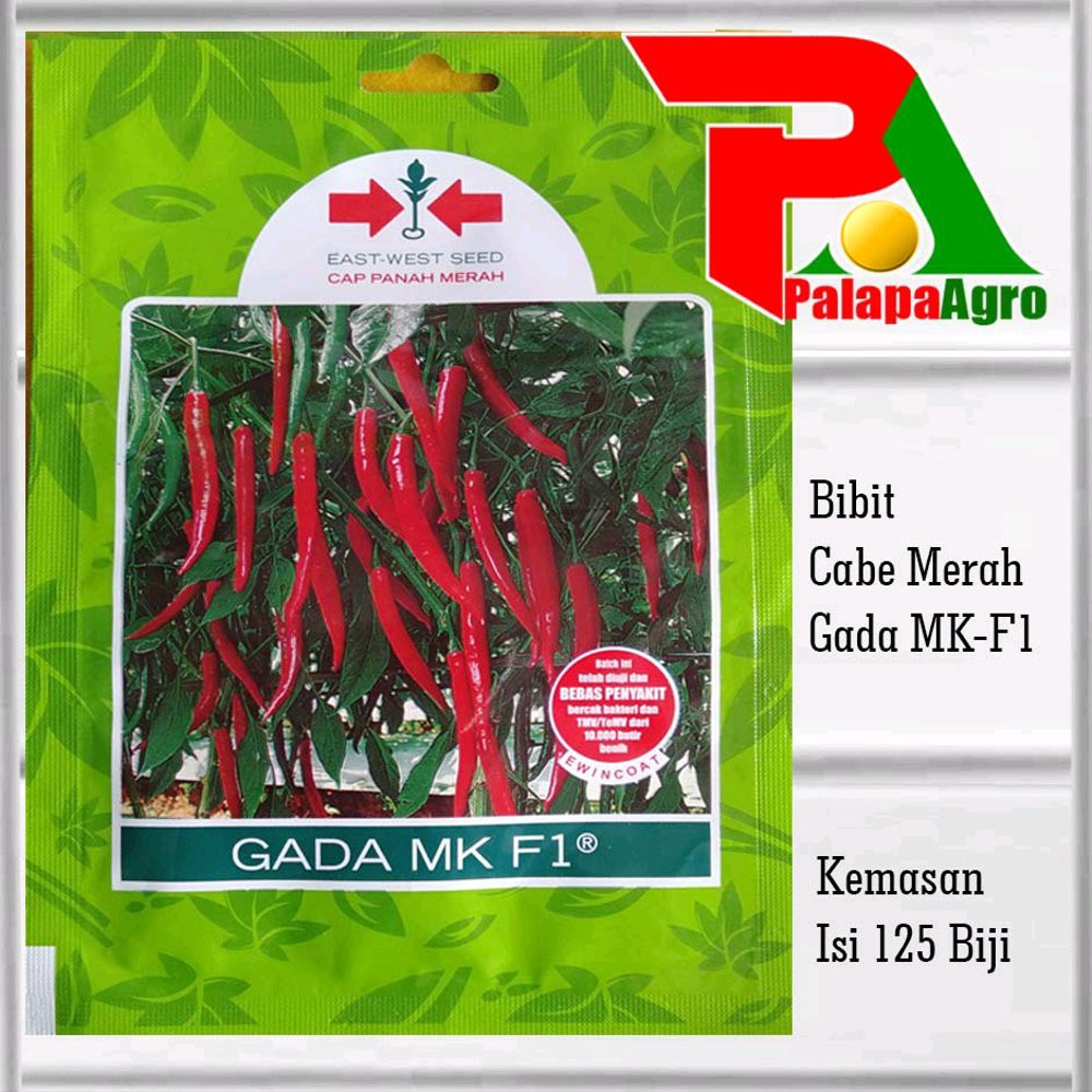 Benih Cabe Merah Besar GADA MK F1-Bibit Cabe Merah F1 Berkualita
