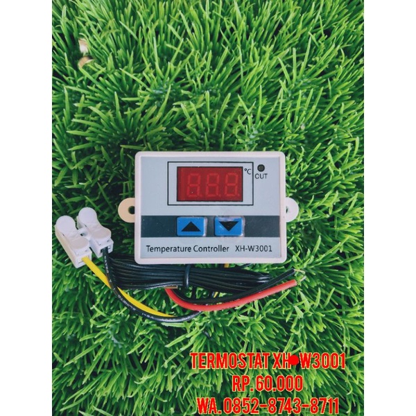 TEMOSTAT XH-W3001