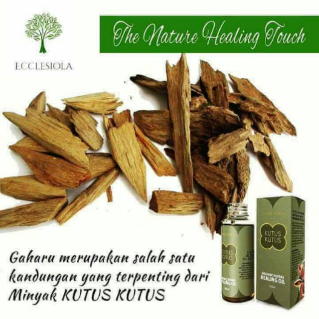 

minyak kutus kutus
