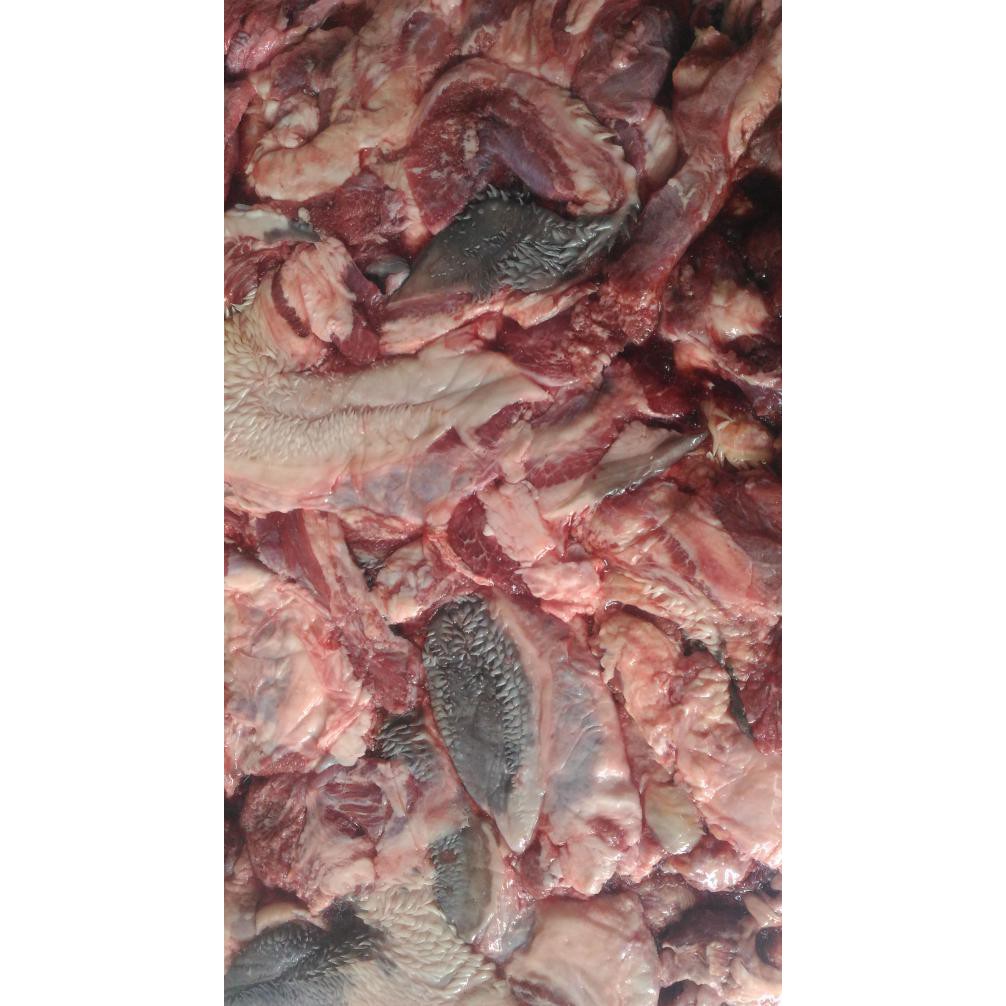 

Sapi - Pipi Lokal