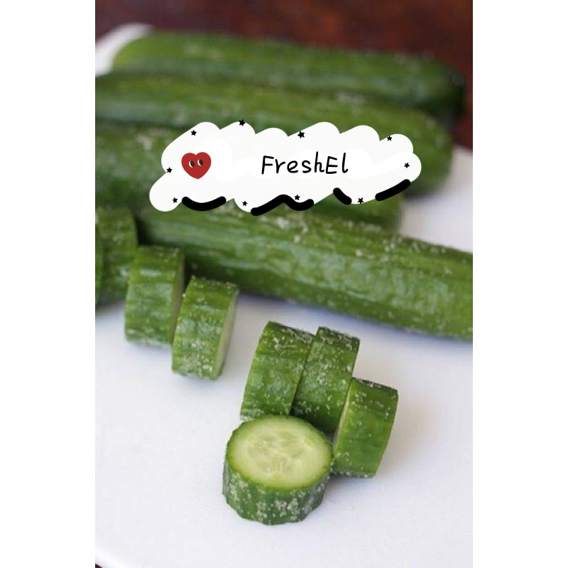 

FreshEl - TIMUN JEPANG / TIMUN KYURI / TIMUN SALAD 250gr