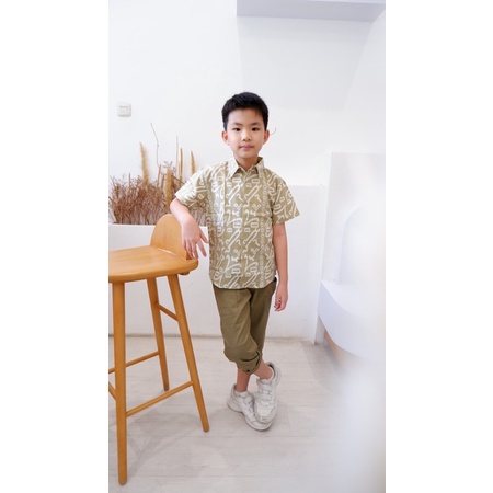 -Batik Organik- Kemeja Batik Anak Lengan Pendek By Little Malik Batik, Garutan