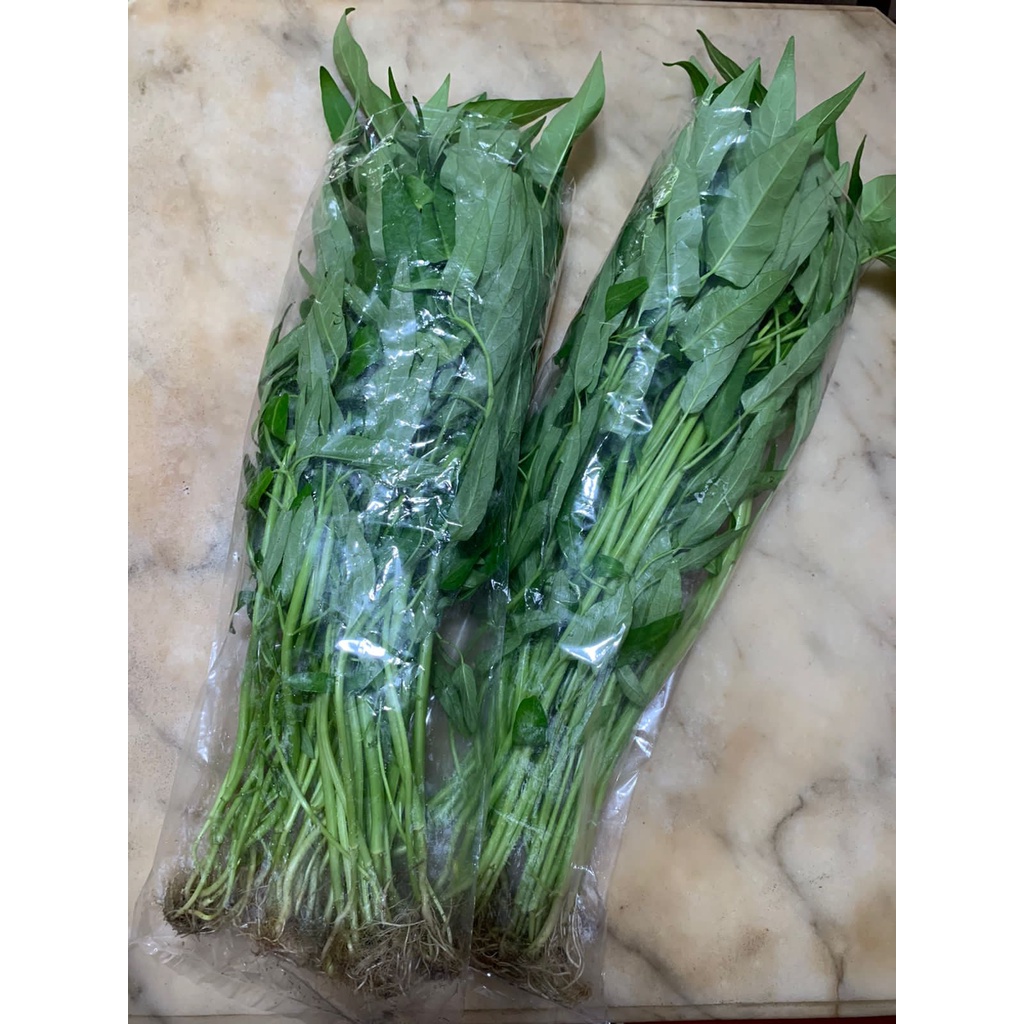 Jual Kangkung Hidroponik Segar Non Pestisida 300g Indonesia Shopee