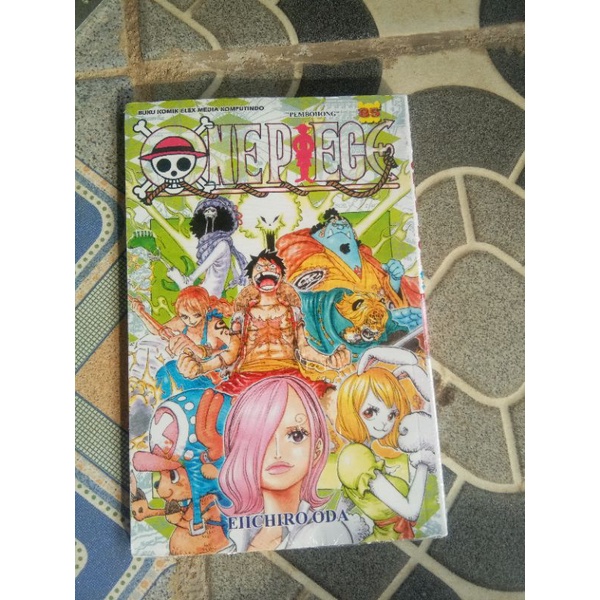 one piece 85