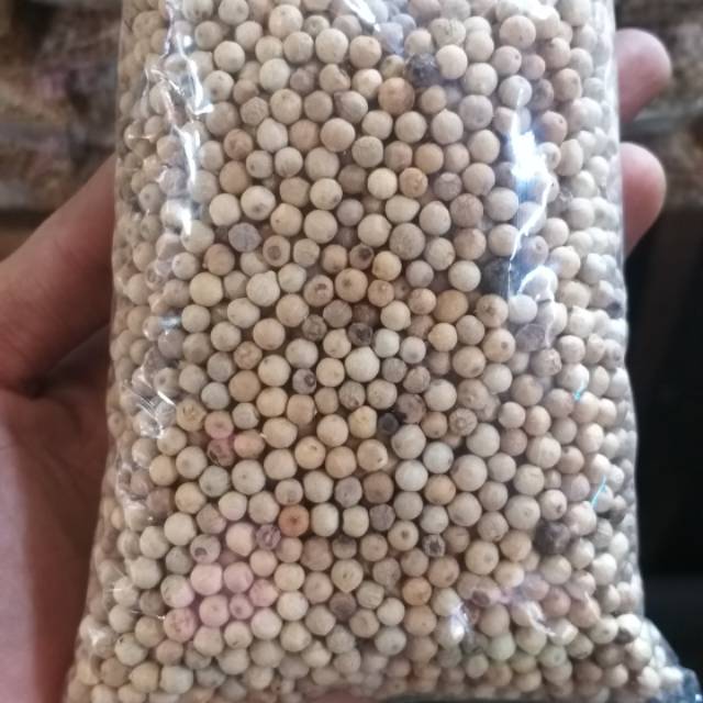 

Merica / Lada Putih Butir 250 Gram