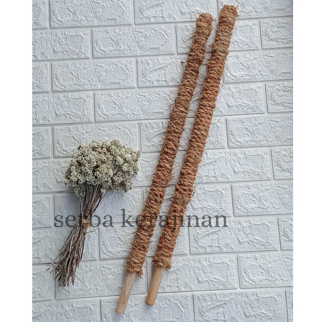TURUS KAYU 75 CM-STIK RAMBATAN JANDA BOLONG-TURUS TANAMAN-TURUS SABUT