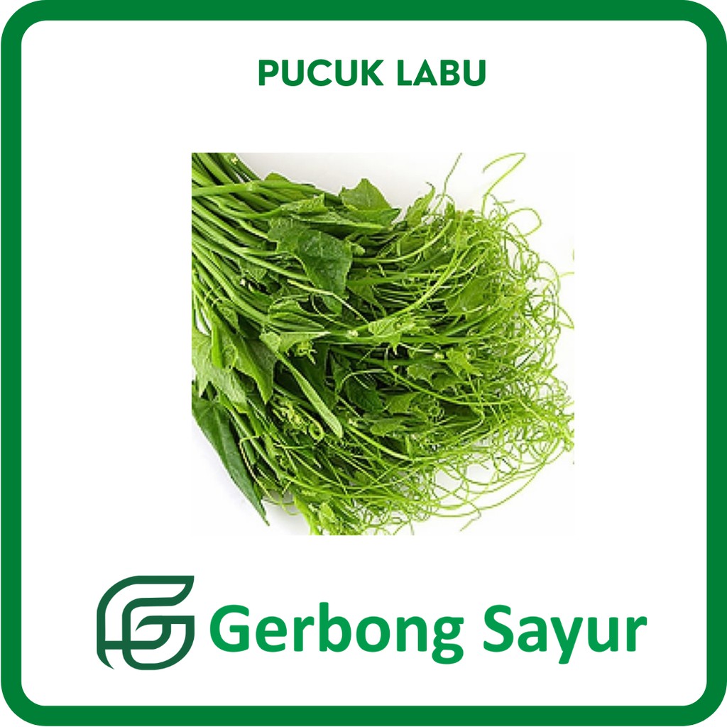 

Sayur Pucuk Labu Segar - 500g