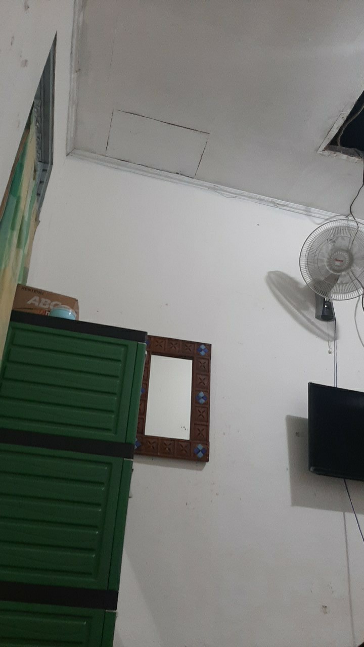 Insect Net - Screen Net - Kelambu - Jaring Penghalang Serangga - Hama Lebar 1 Meter Mesh 50 Putih