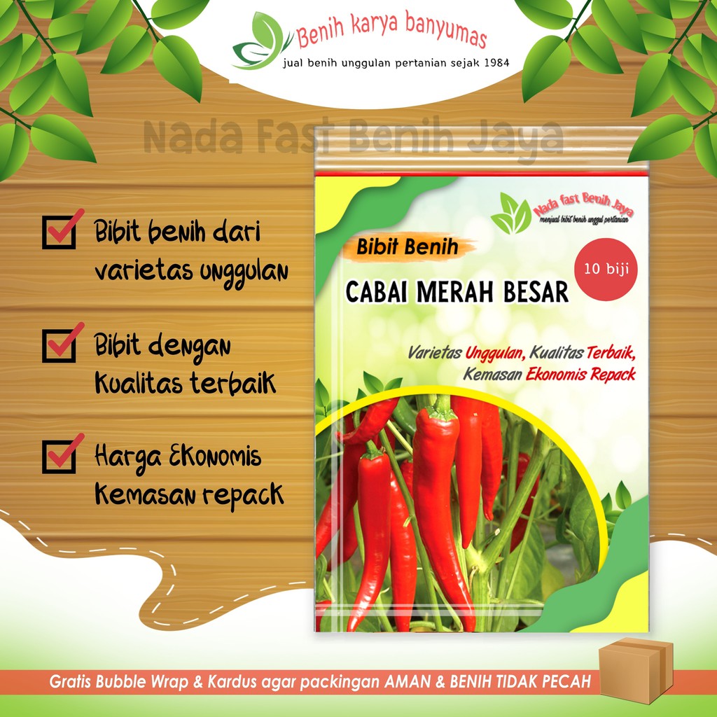TERBAIK 10 biji Benih cabe merah besar bangkok - bibit cabe besar pilar / Benih cabe merah besar F1