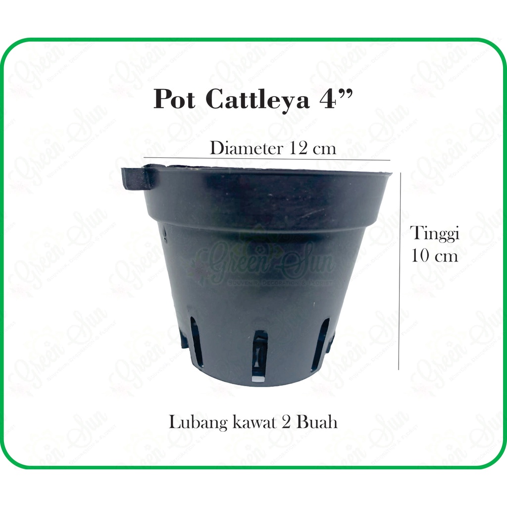 Pot Anggrek Cattleya 4 inchi - Pot Tanaman Anggrek - Pot Tanaman Hias