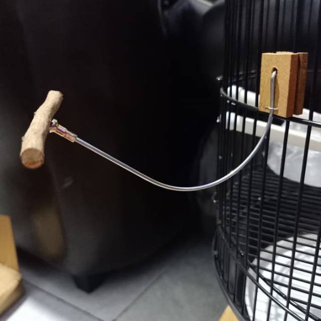 Tangkringan kawat burung kolibri conin burung kecil