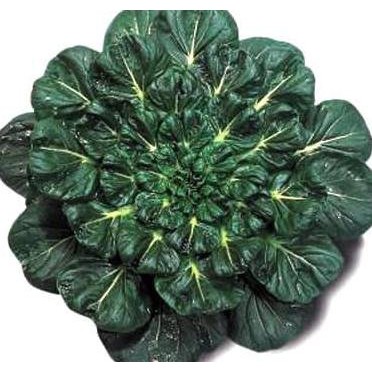 SERBU Benih Serba Seribu - Benih Sayur-sayuran - Benih Sayur Daun dan Sayur Buah-Sawi Pagoda