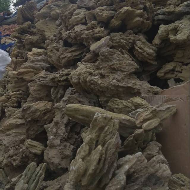 Batu Fossil Pasir - Hardscape Aquascape dan aquarium