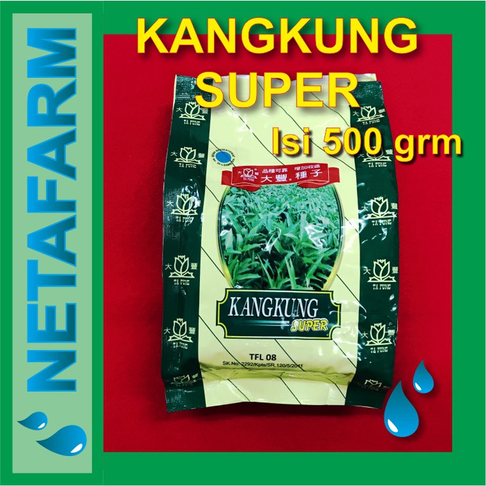 benih kangkung super 500 gram - Tafung