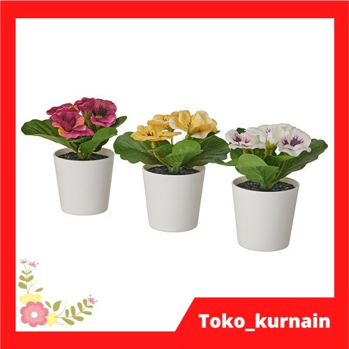 Tanaman Dekorasi Bunga Viola Kecil dengan Pot Putih 3 Warna Ukuran 6cm