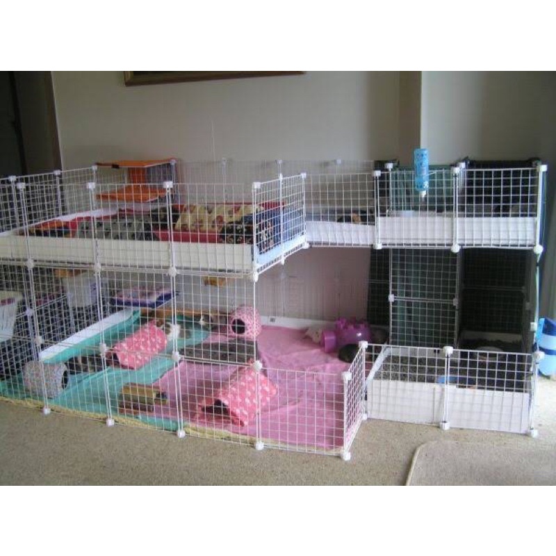C&amp;C CAGE GRID KONEKTOR GRID CAGE KANDANG KELINCI KANDANG MARMUT KANDANG PAGAR HEWAN KANDANG TORTO