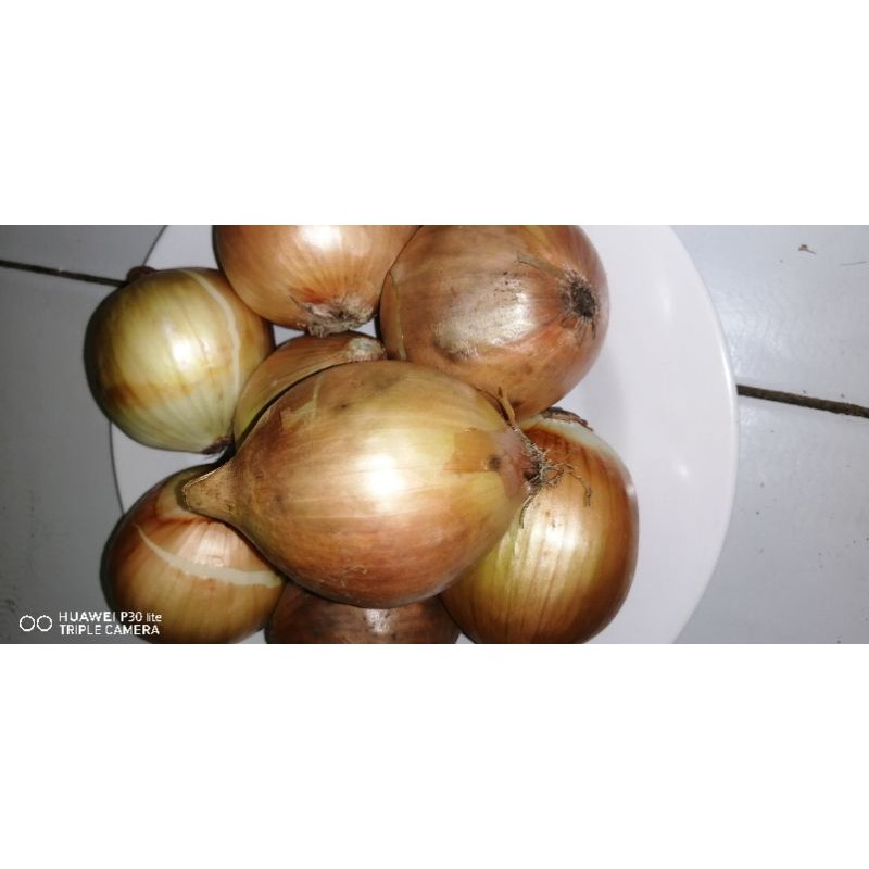 

Bawang Bombay Segar 1 Kg