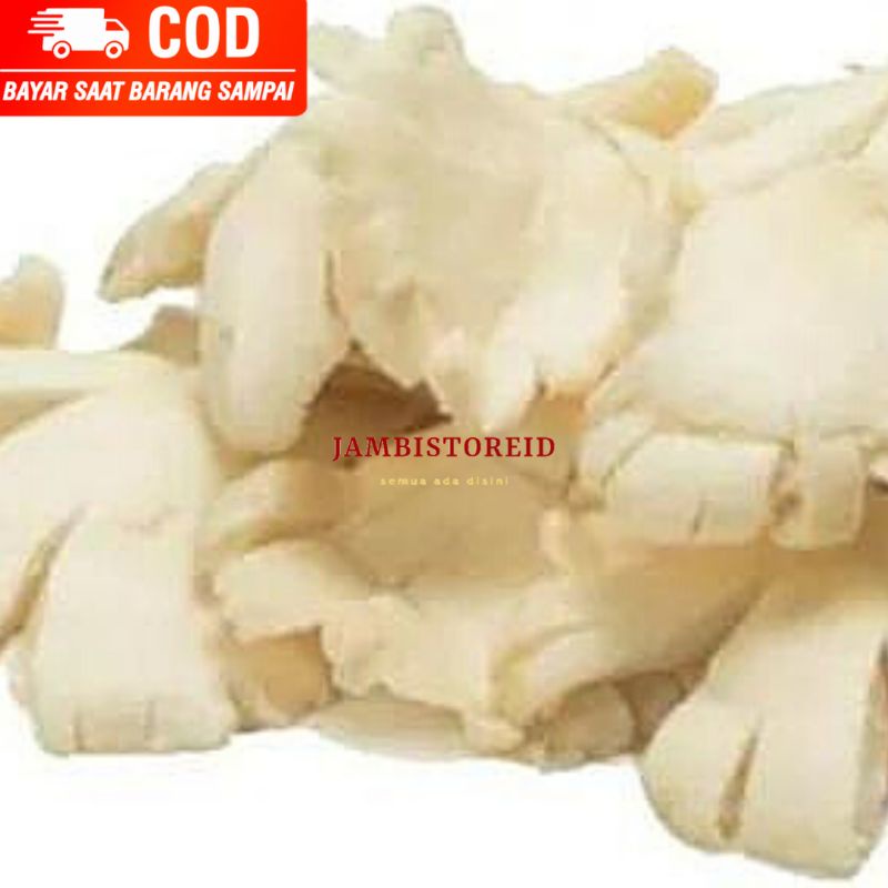

(JAMBISTOREID) JAMBI LANGSUNG KIRIM Jamur Tiram Fresh New 500gram Sayur Segar Baru Pasar Tradisional Angso Duo Jambi