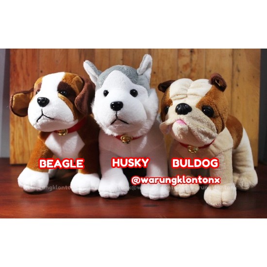 Boneka Anjing Husky,Buldog & Beagle Puppies By Seulgi