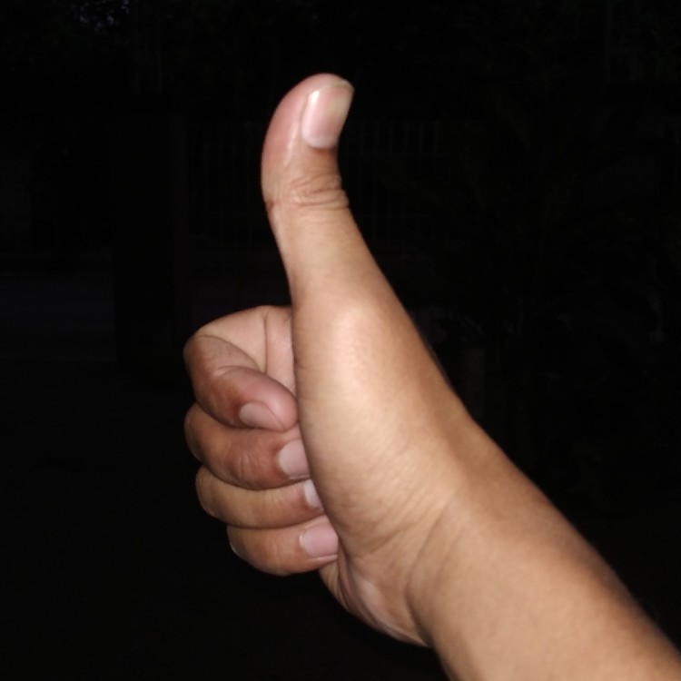 Cod Engsel Stainless Steel  Muller 5 Inchi Murah