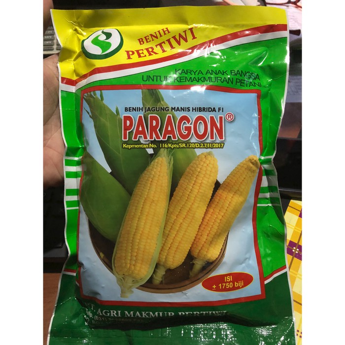Benih Jagung Manis Paragon (1750 Benih)
