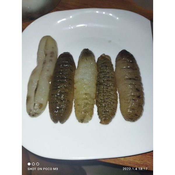 

teripang gosok basah/haisom 250 gram