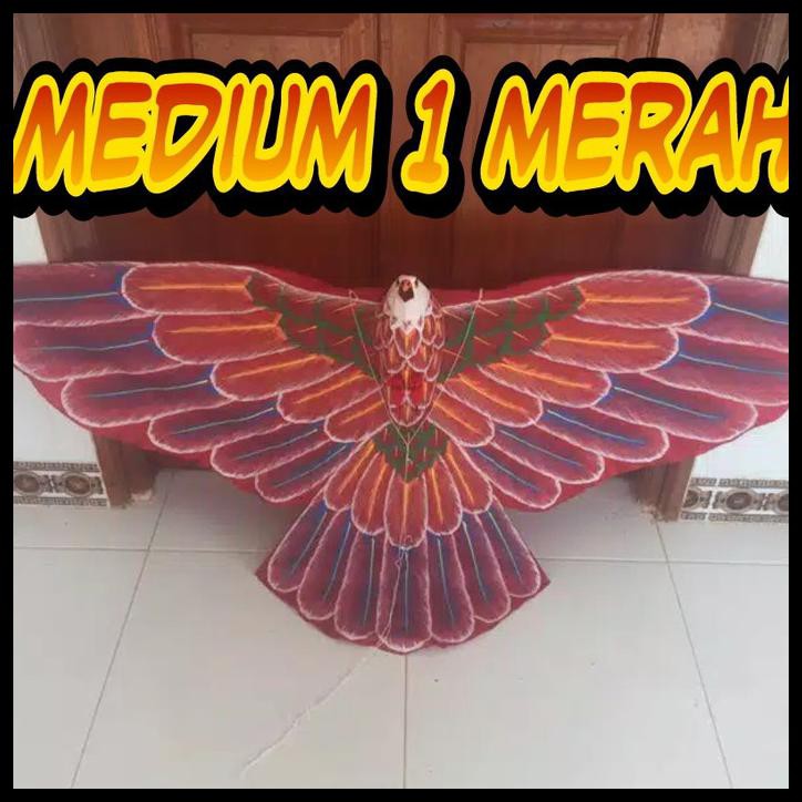 480+ Gambar Burung Elang Merah Terbaik