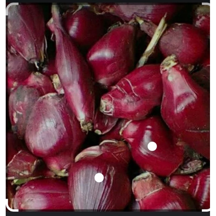 

bawang Dayak superr jumbo 500gr