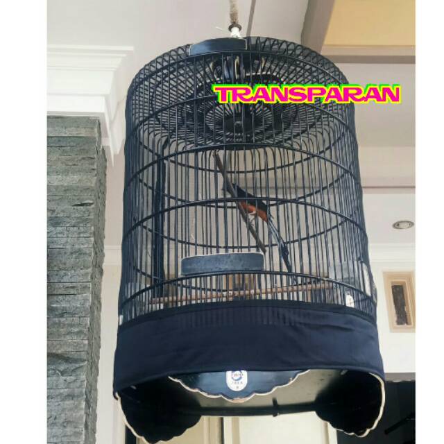 🇬🇲KRODONG TRANSPARAN MURAI🇬🇲