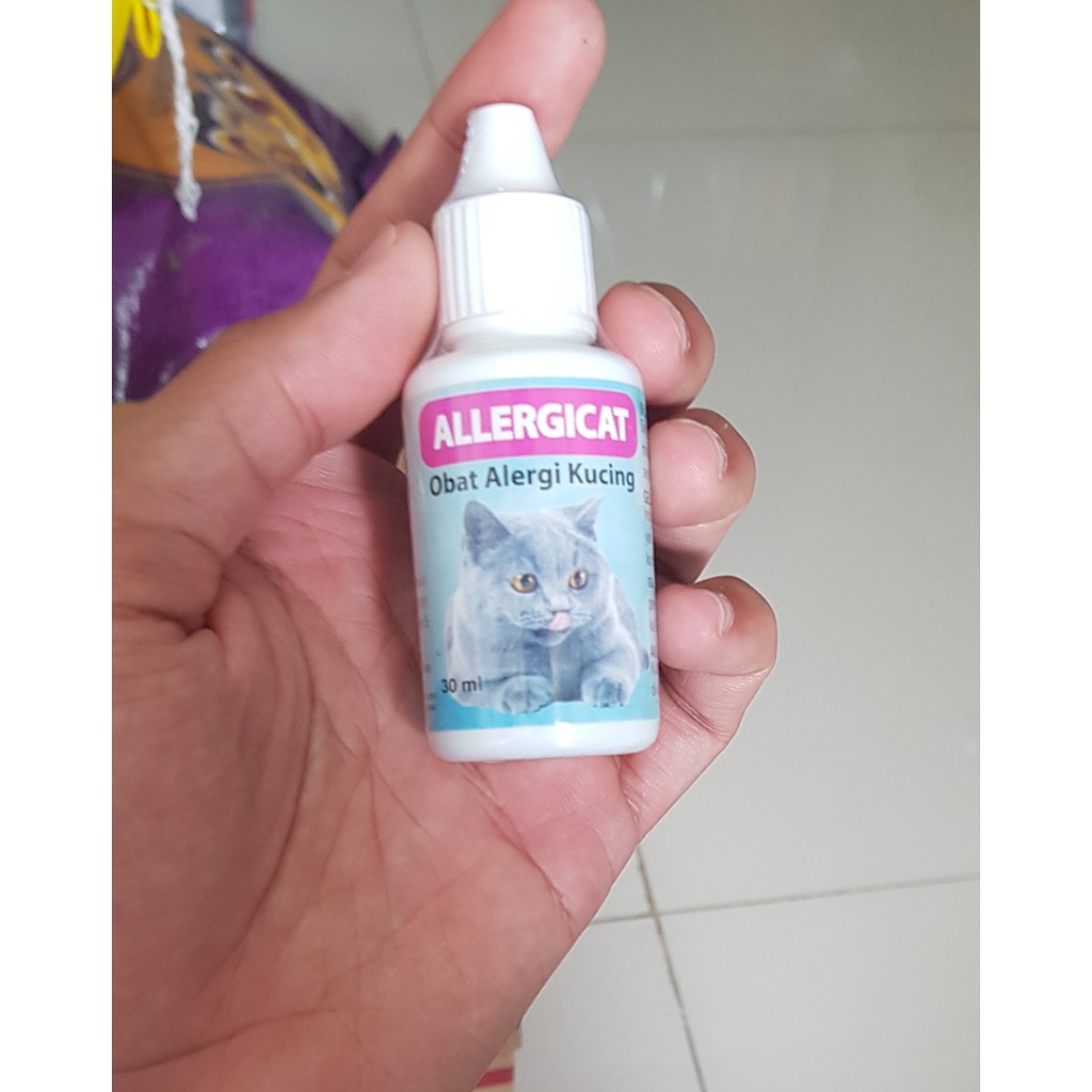 ALLERGI CAT Obat Kucing Gatal Kulit Radang karena allergi