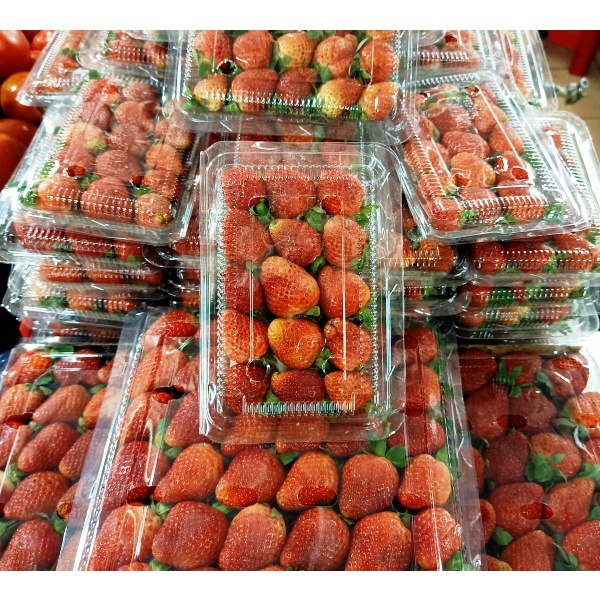 

strawberry